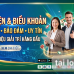 Quy định điều kiện và điều khoản